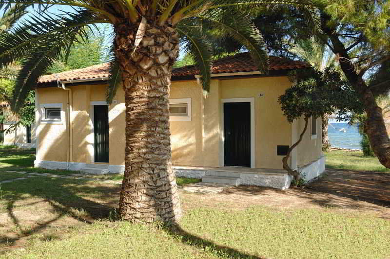 Mimoza 2*