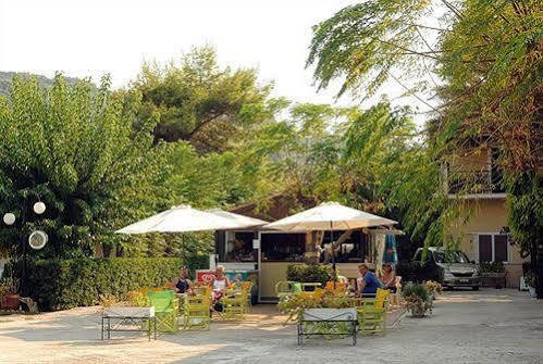 Hotel Mimoza Argassi