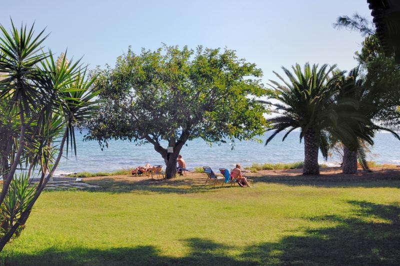 Mimoza Hotel Argassi